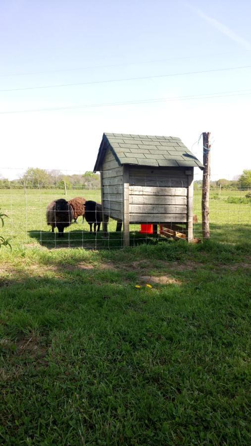 Bed & Breakfast Le Moulin De La Retardiere Orvault