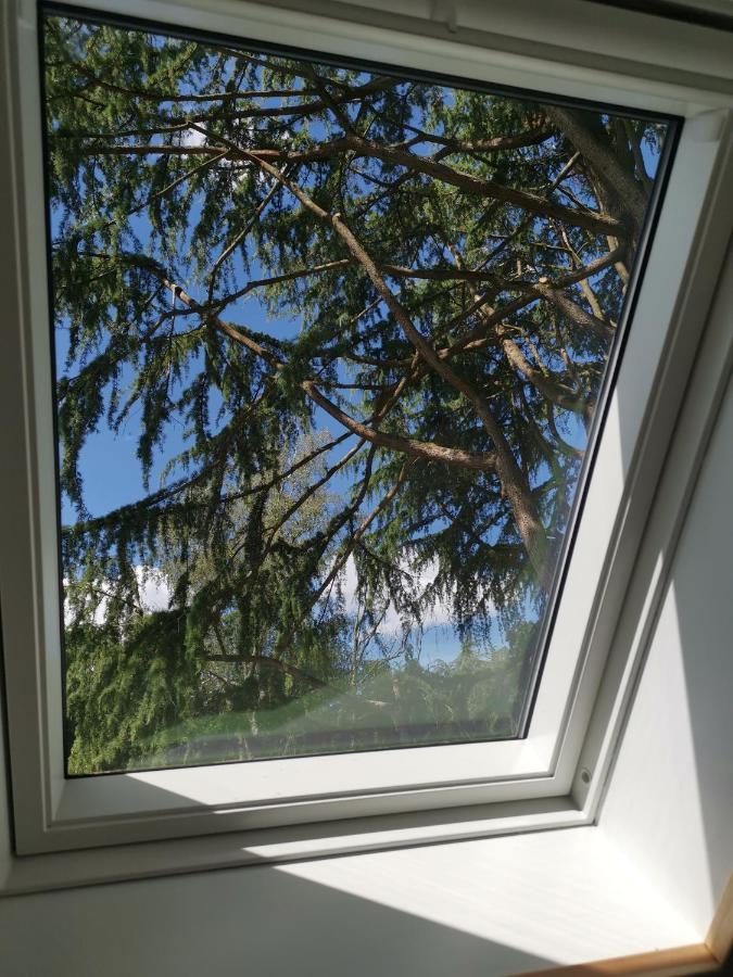 Bed & Breakfast Le Moulin De La Retardiere