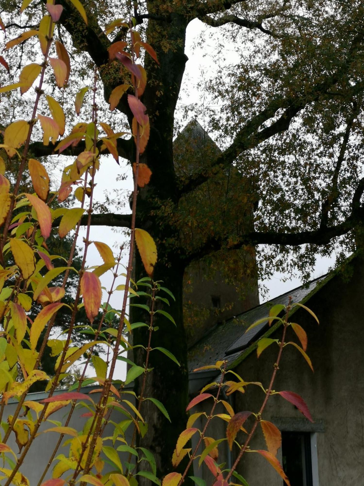 Le Moulin De La Retardiere *