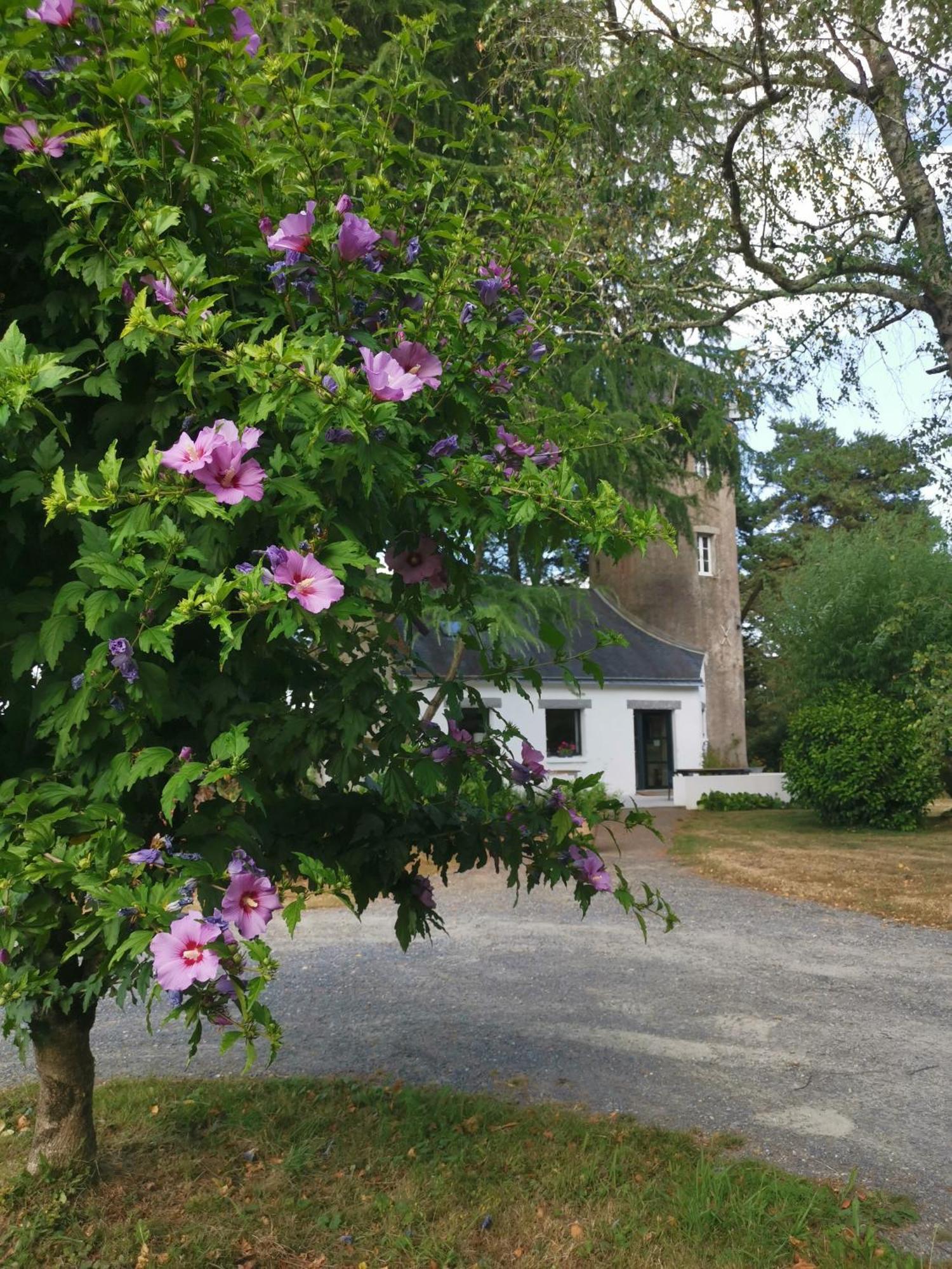 Bed & Breakfast Le Moulin De La Retardiere