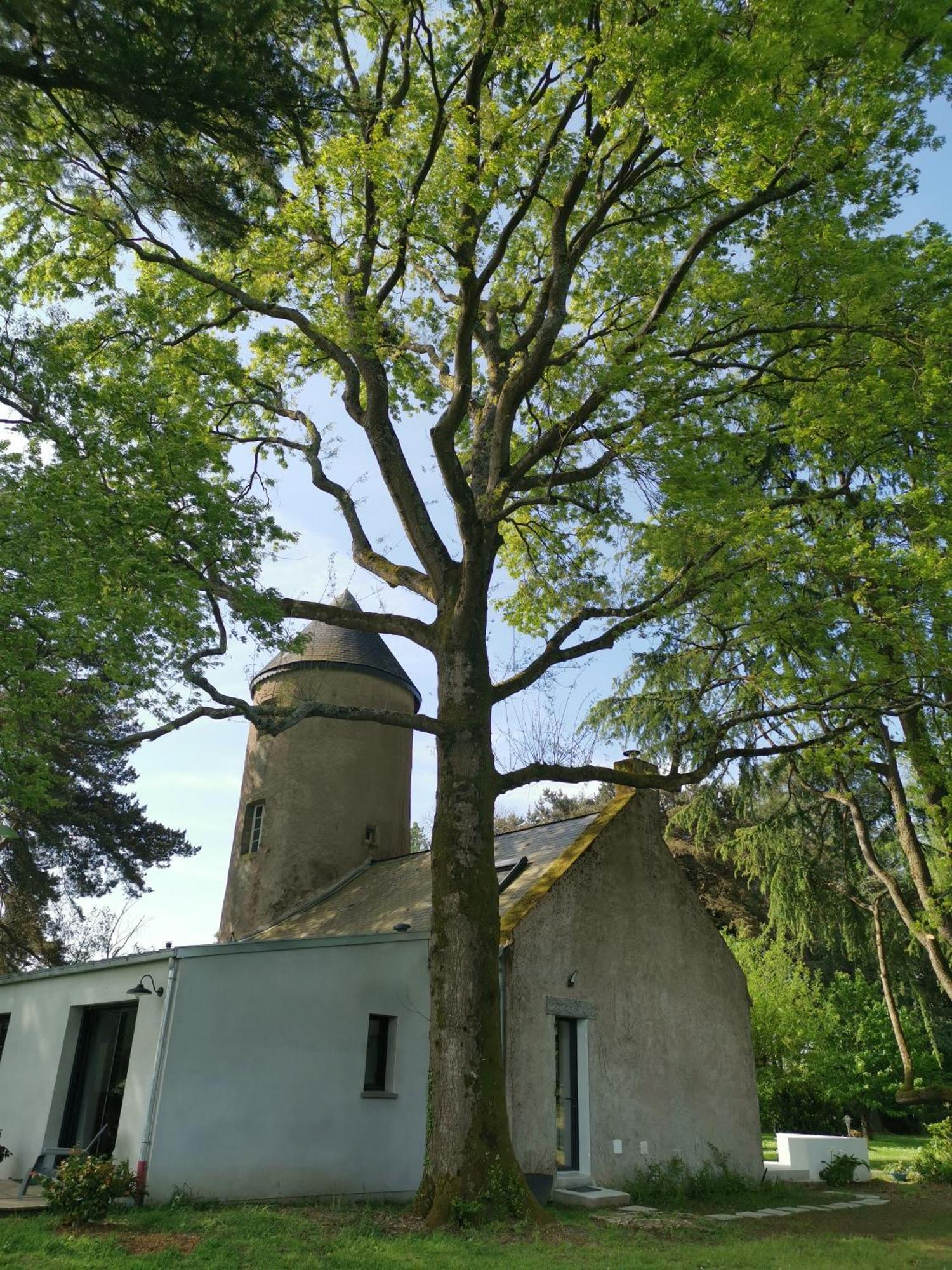 Bed & Breakfast Le Moulin De La Retardiere